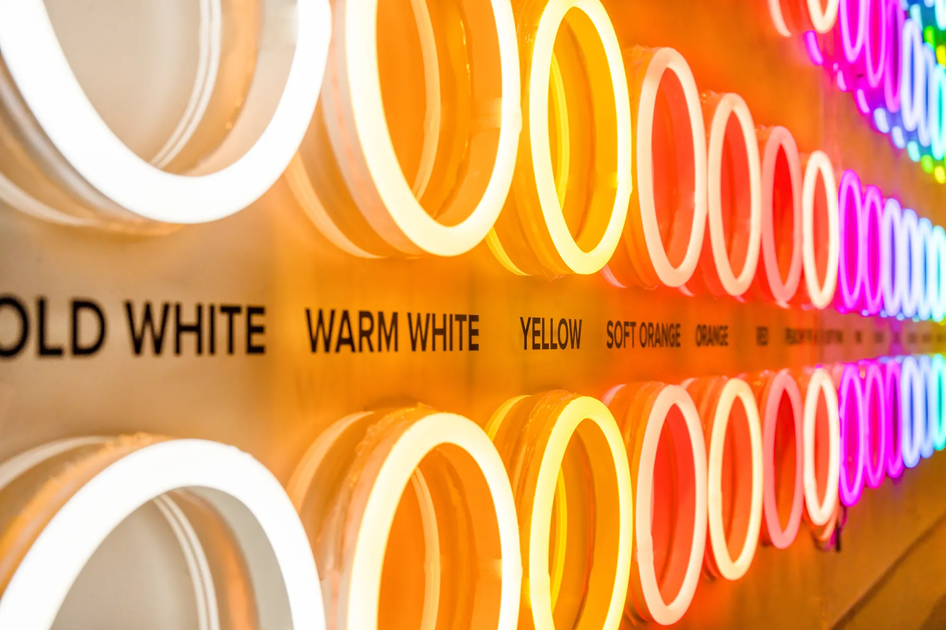 Neon LED sign fullcolor spectrum op maat gemaakt Xander Bakker Design Studio